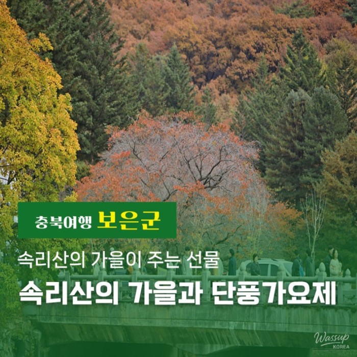 Autumn in Songnisan and the Maple Song Festival 2025876