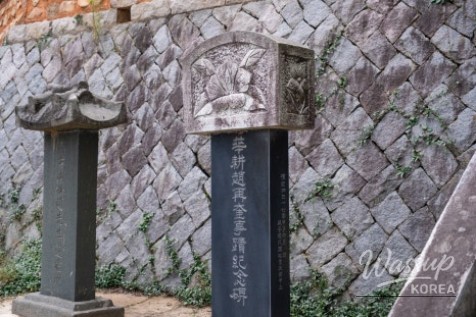 Mysterious Appearance