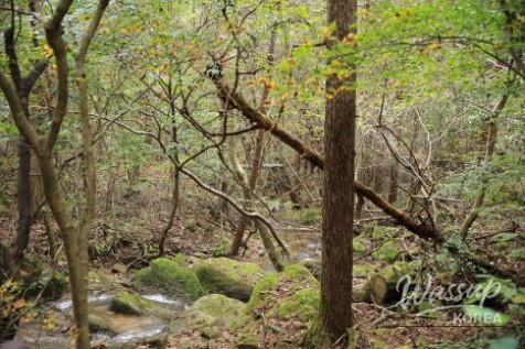 흥미로운 이미지