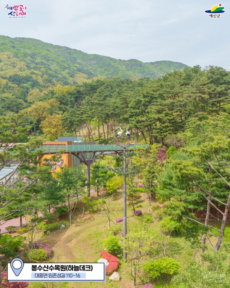 Mysterious appearance