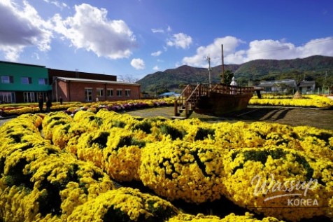 흥미로운 이미지