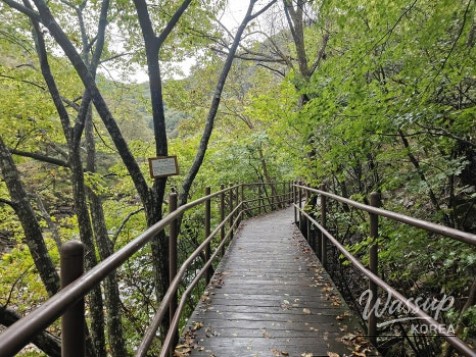 흥미로운 이미지