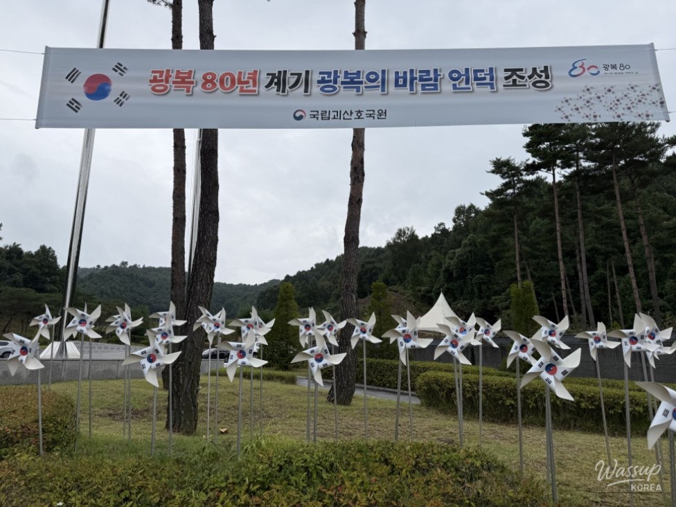 흥미로운 이미지