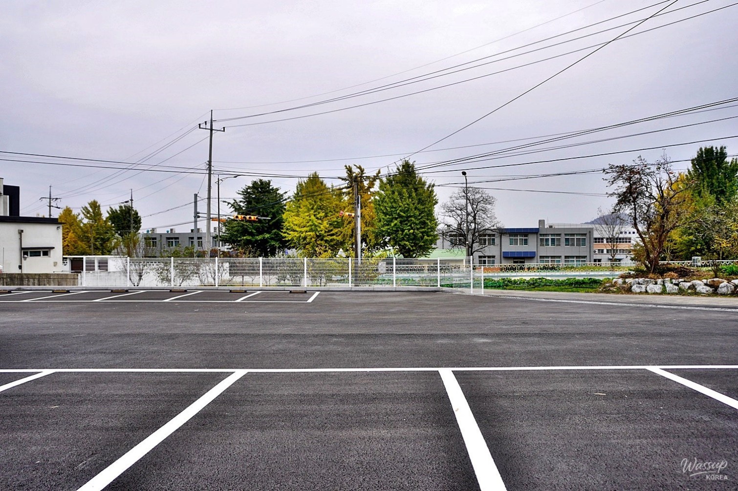 흥미로운 이미지