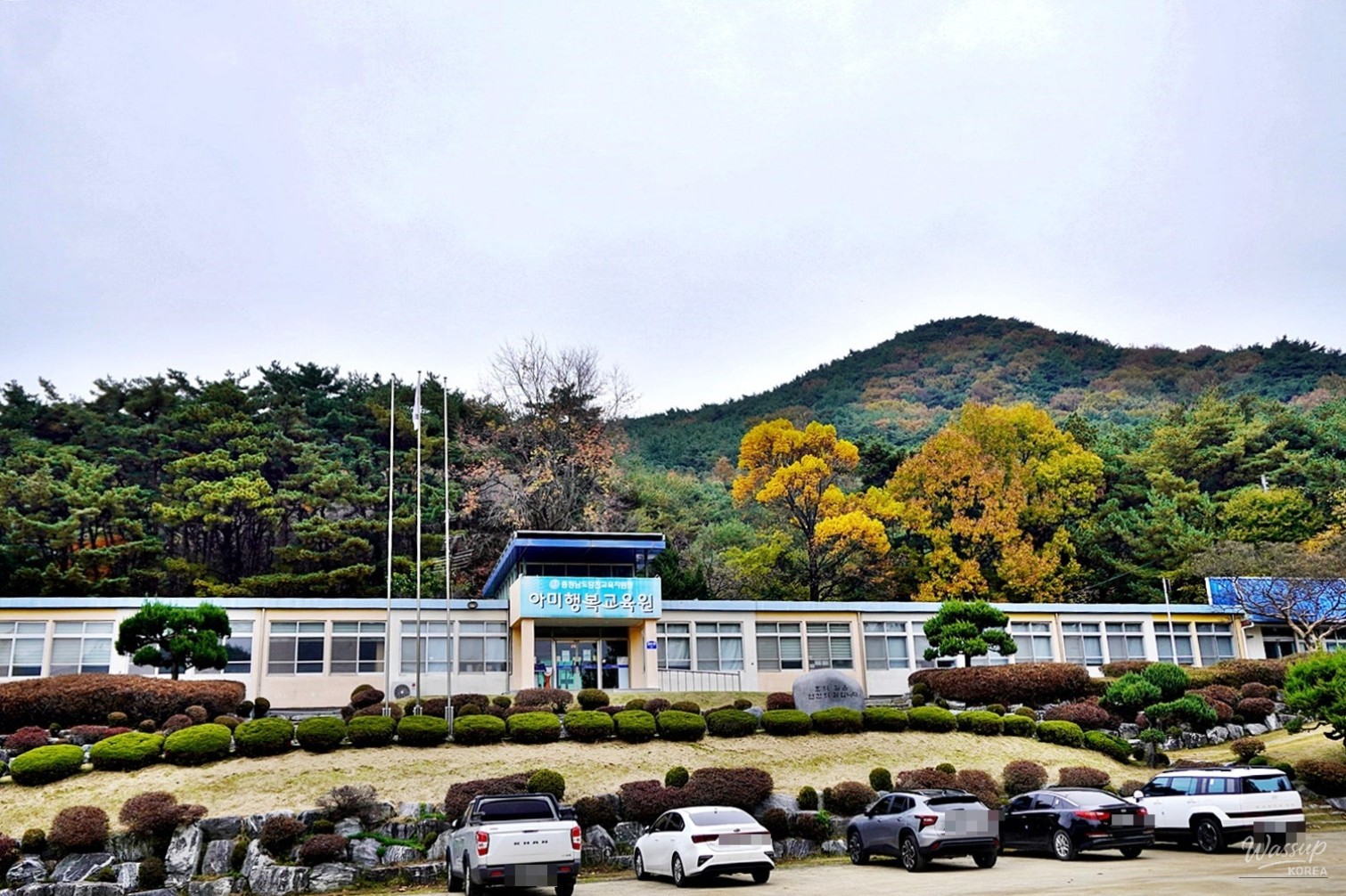 인상 깊은 모습