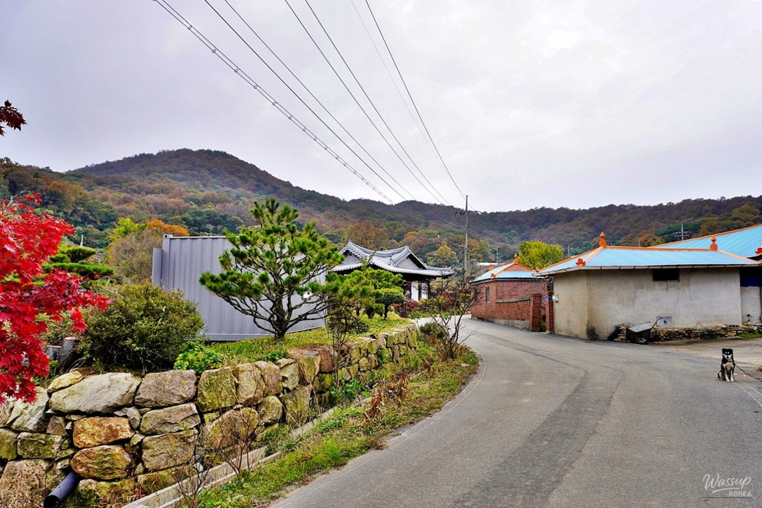 인상 깊은 모습