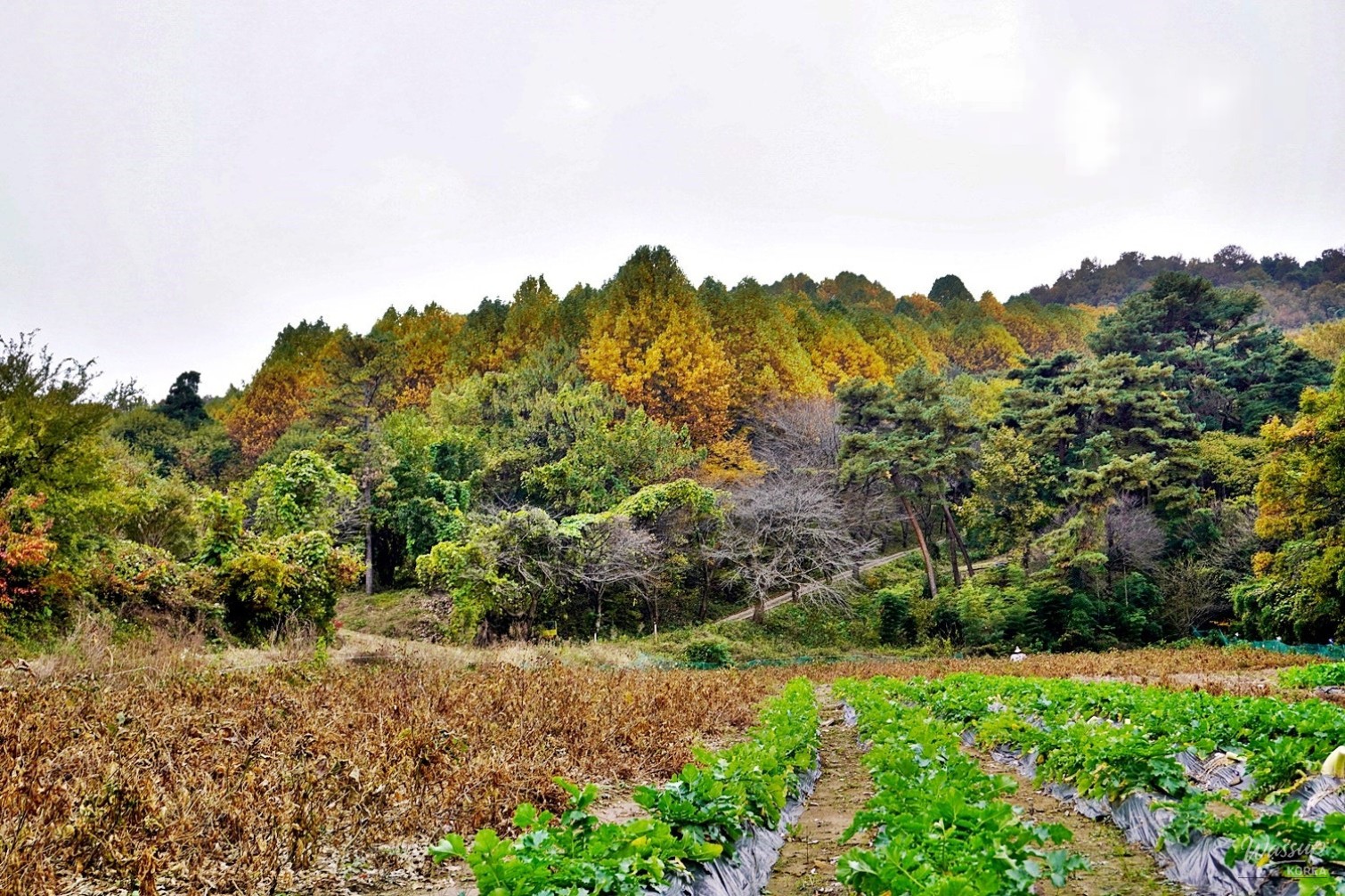 흥미로운 이미지