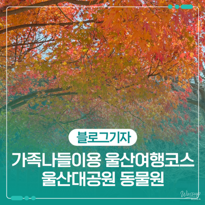 감동적인 장면