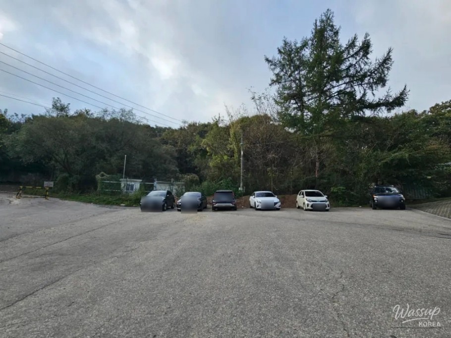 흥미로운 이미지