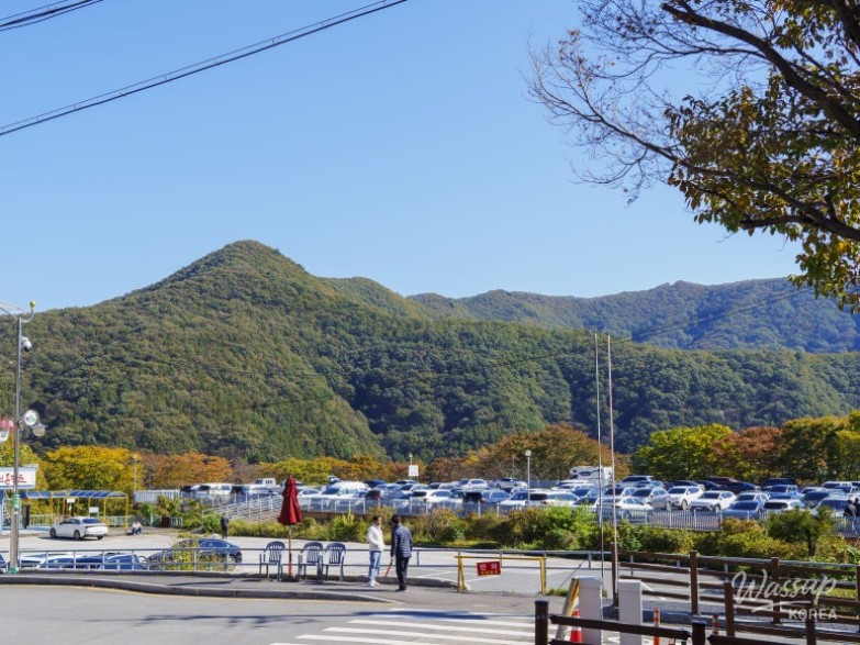 Mysterious appearance