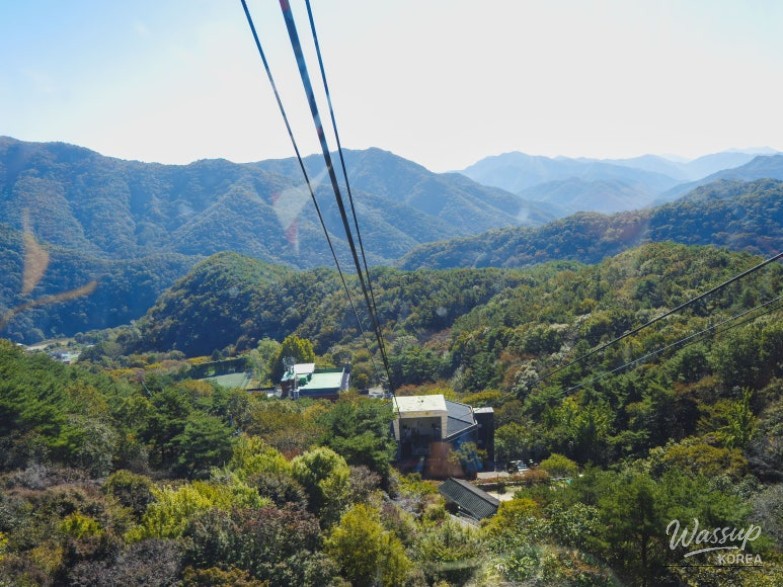 Impressive appearance