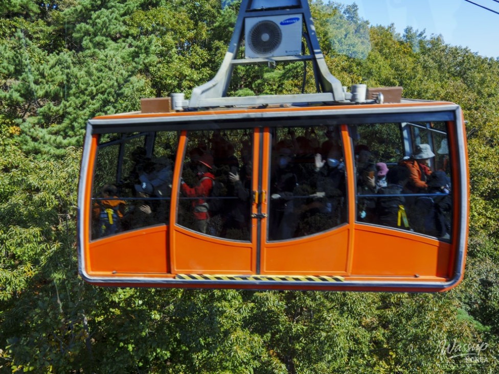 Impressive appearance