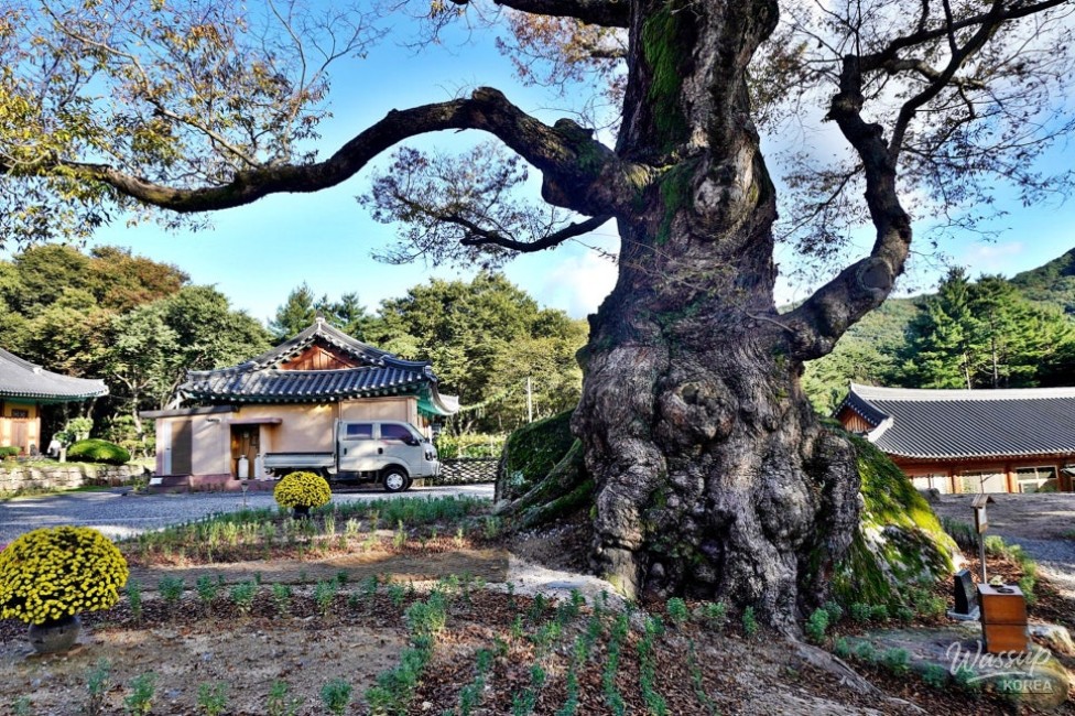 인상 깊은 모습