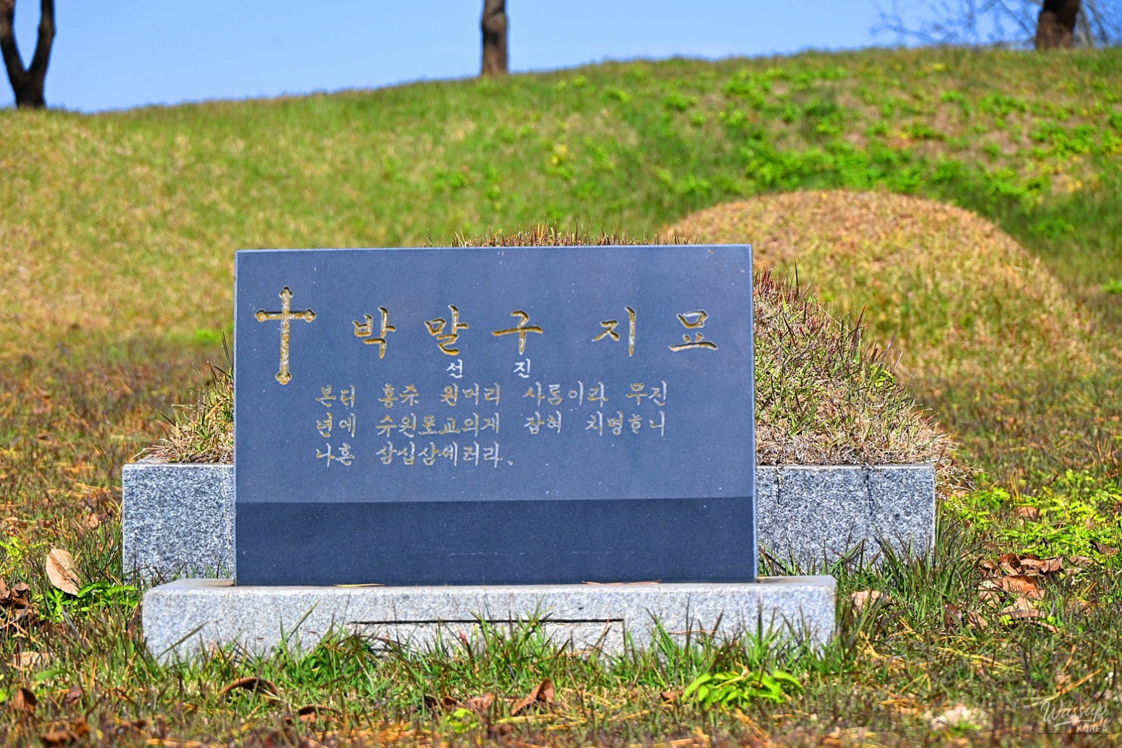 화려한 장면