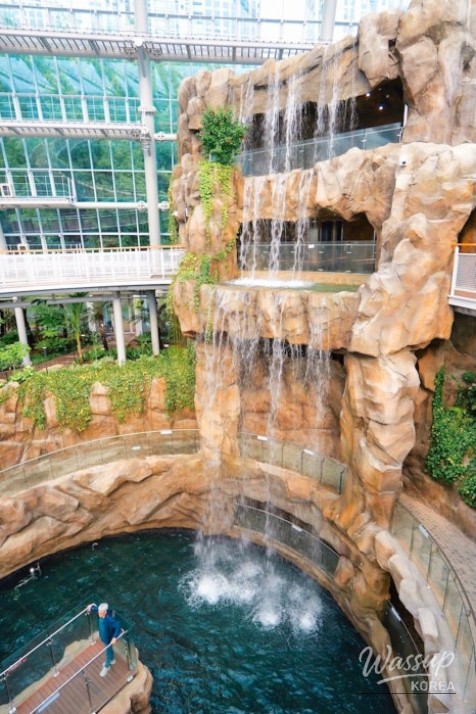 Mysterious appearance