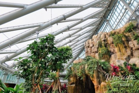 Mysterious appearance