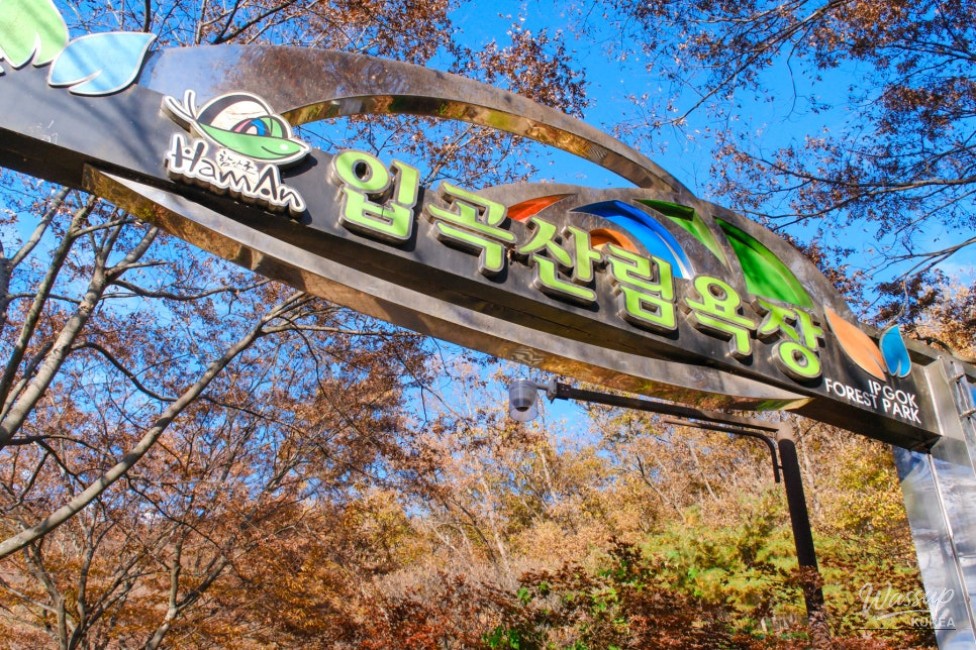 인상 깊은 모습