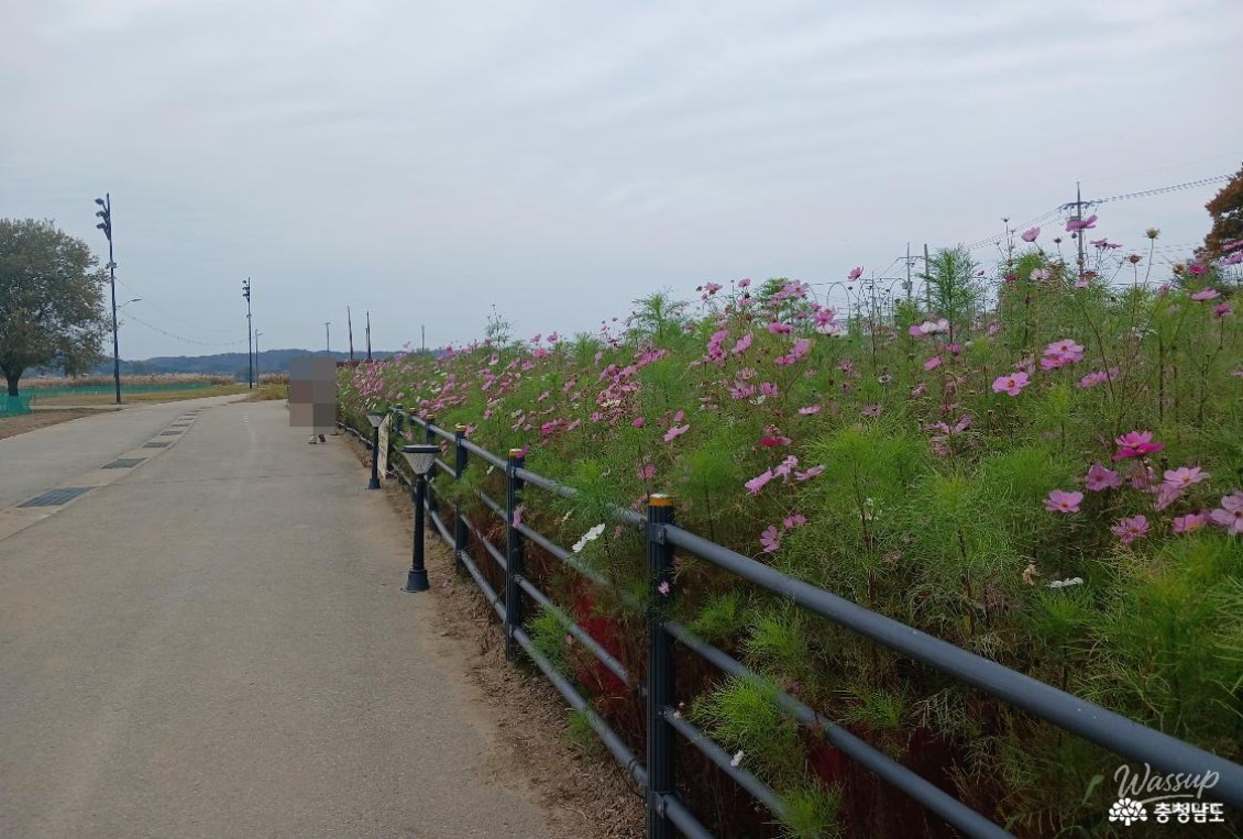 흥미로운 이미지