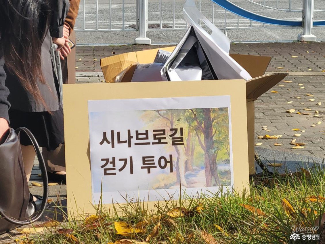 Mysterious Appearance