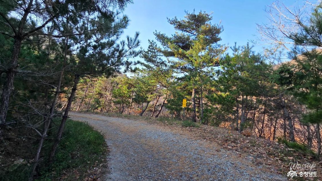 Mysterious appearance