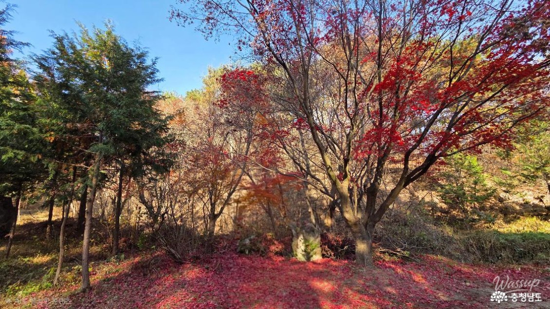 Impressive appearance