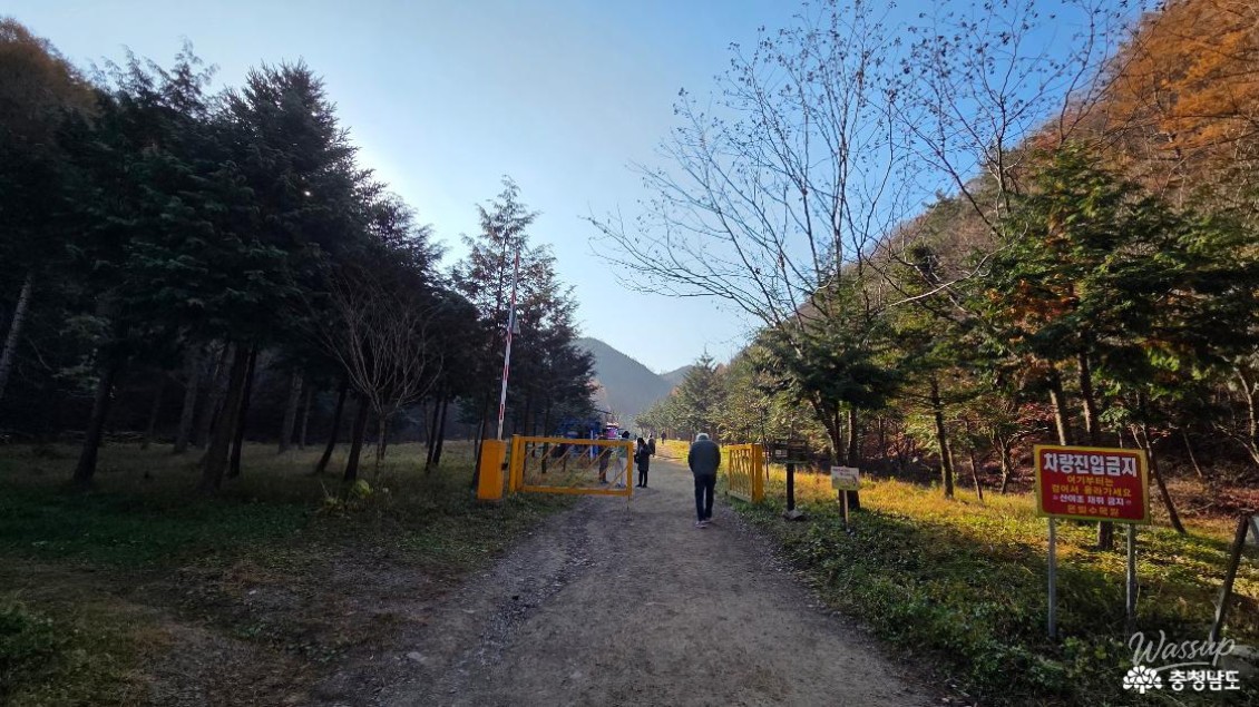 Impressive appearance