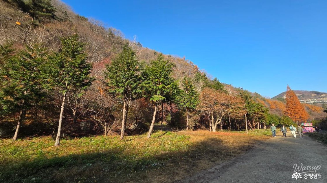 Mysterious appearance