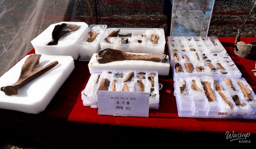 흥미로운 이미지