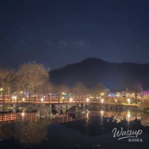 Mysterious Appearance