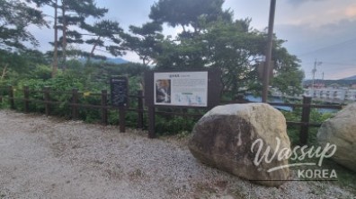 흥미로운 이미지