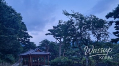 인상 깊은 모습