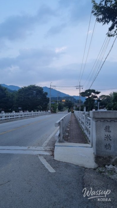 흥미로운 이미지