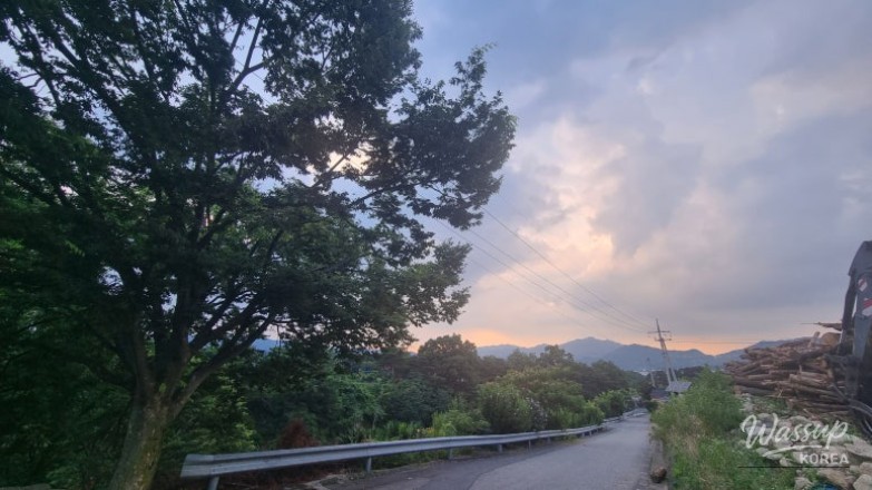 흥미로운 이미지