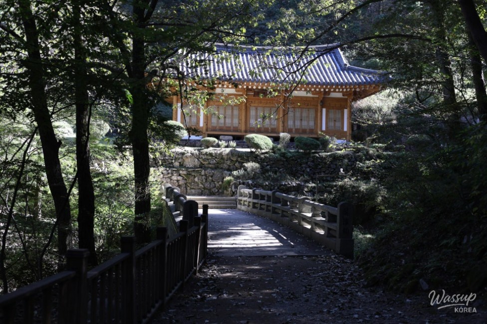 Scenery