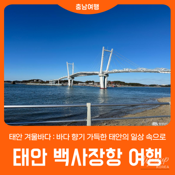 감동적인 장면