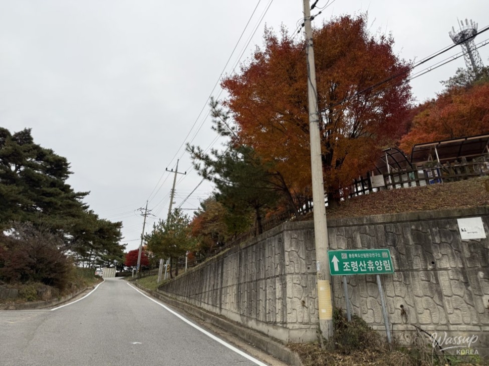 Mysterious appearance