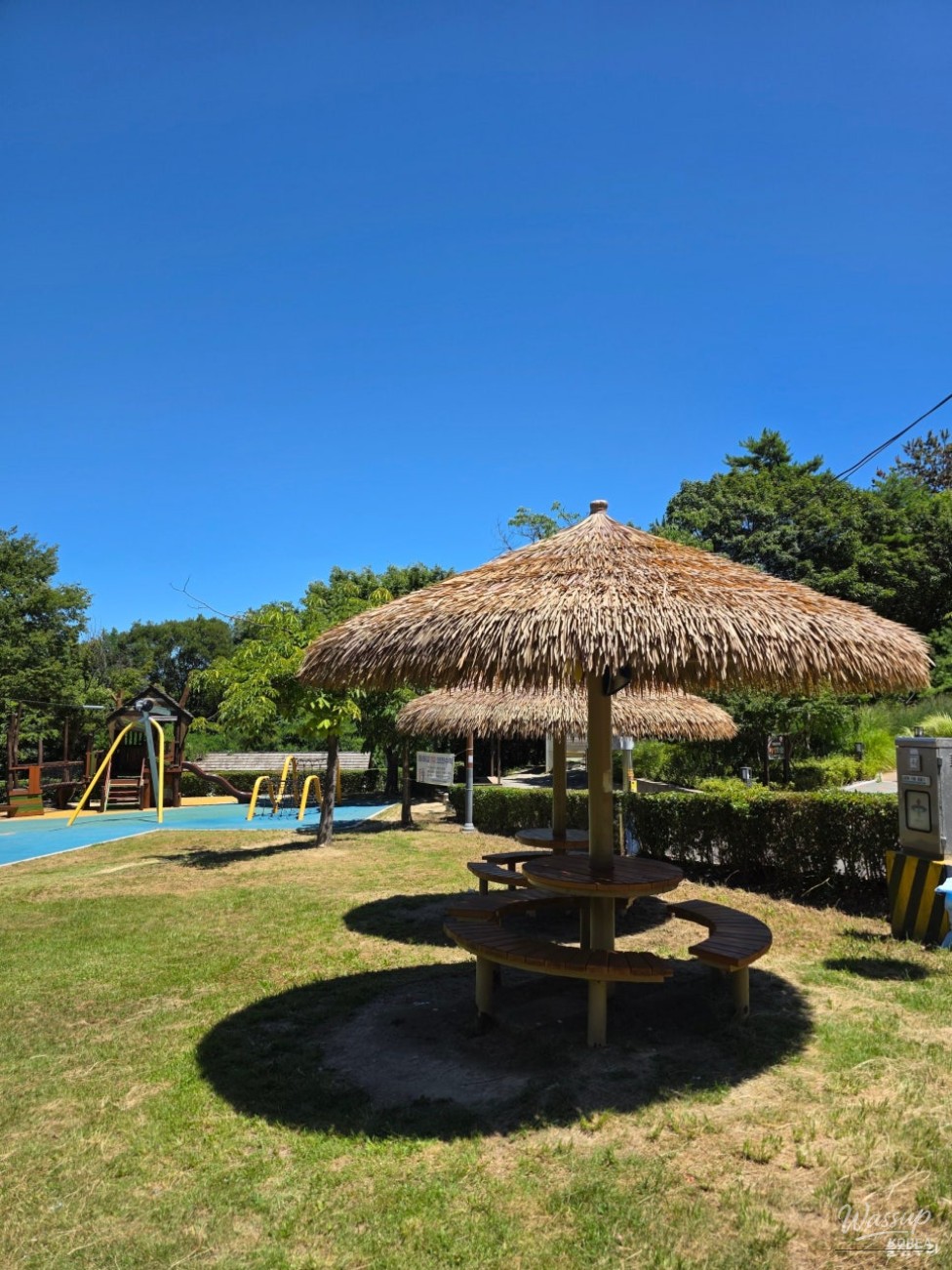 Mysterious Appearance