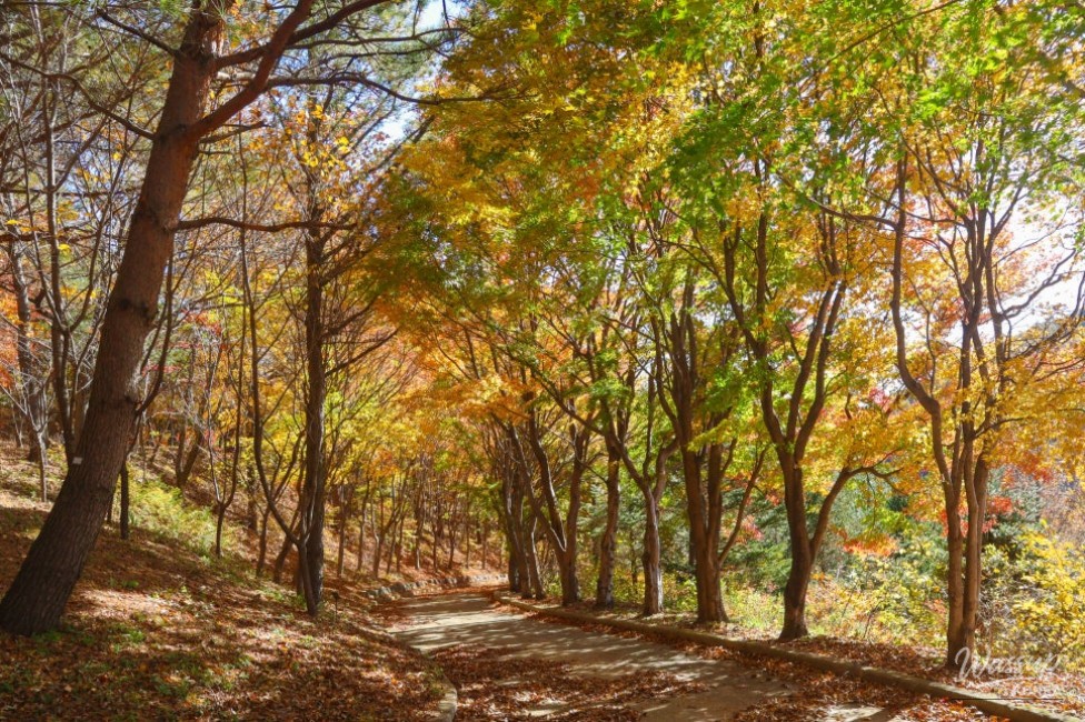 Mysterious Appearance