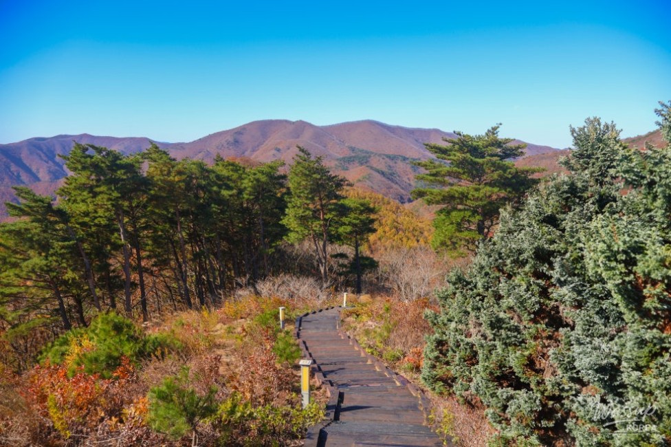 Mysterious Appearance