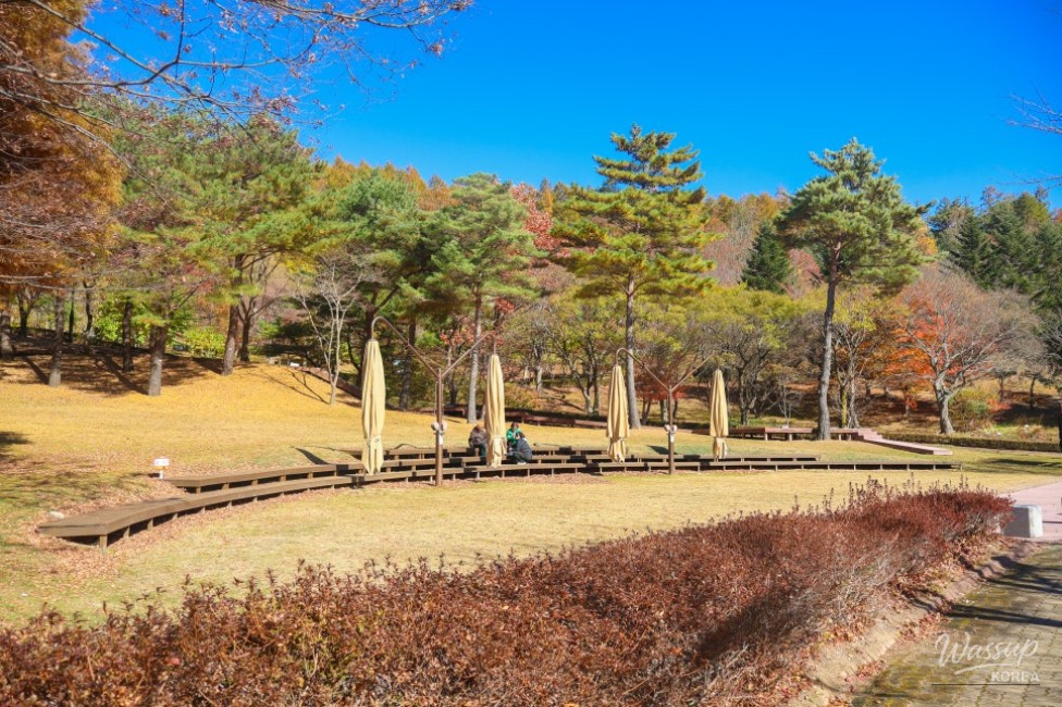 Mysterious Appearance