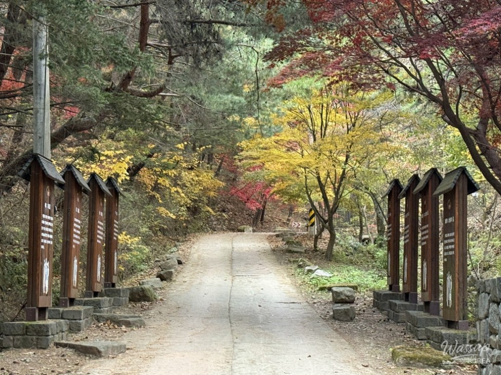 Peaceful scenery