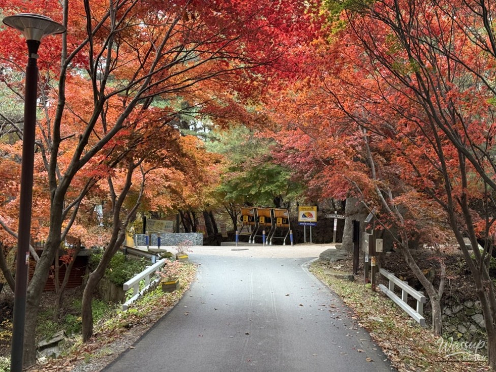 Beautiful scenery