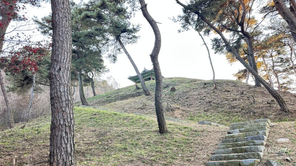 화려한 장면