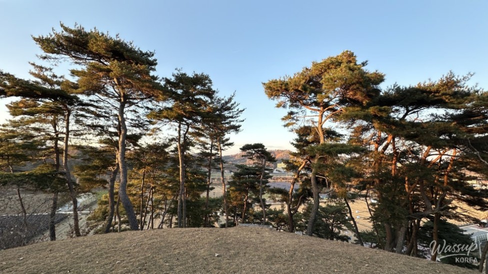 인상 깊은 모습