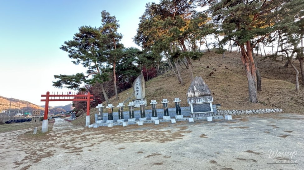 멋진 사진