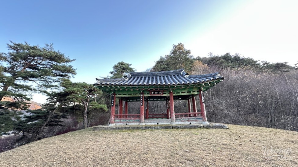 신비로운 모습