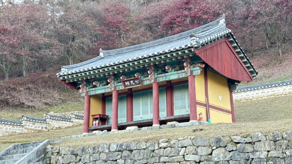 놀라운 광경