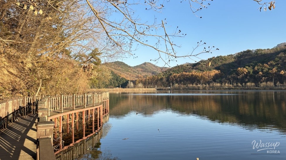 Impressive appearance