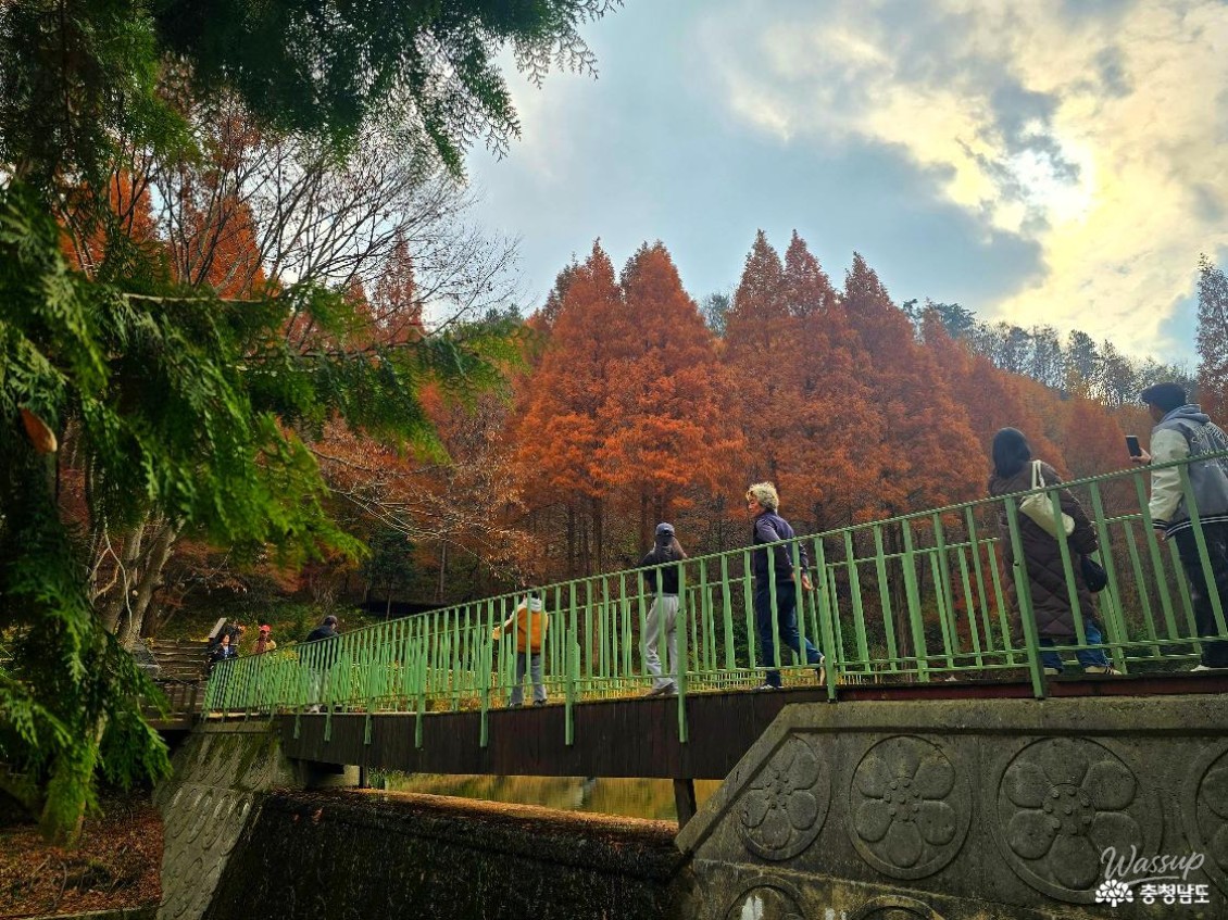 흥미로운 이미지