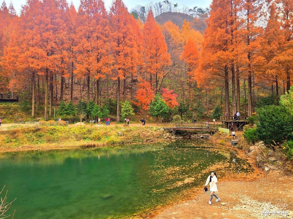 흥미로운 이미지
